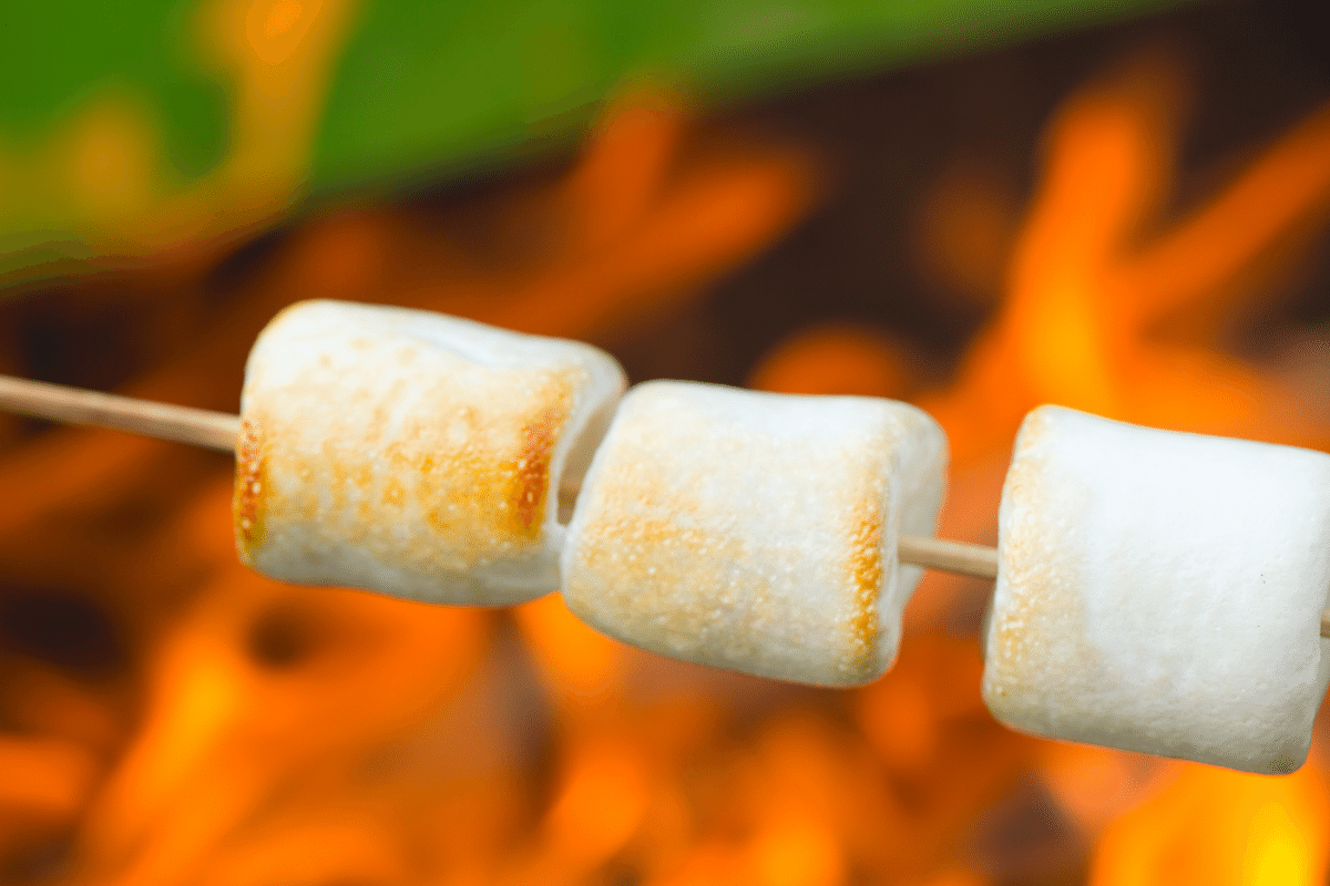 Can you roast marshmallows over a gas fire pit